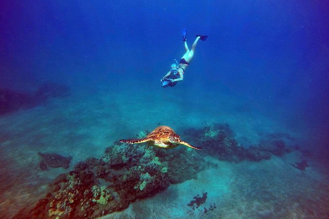 Sea Scooter Snorkeling Tour with GoPro - Wailea Beach - Underwater Photos, Video, and the GoPro Factor