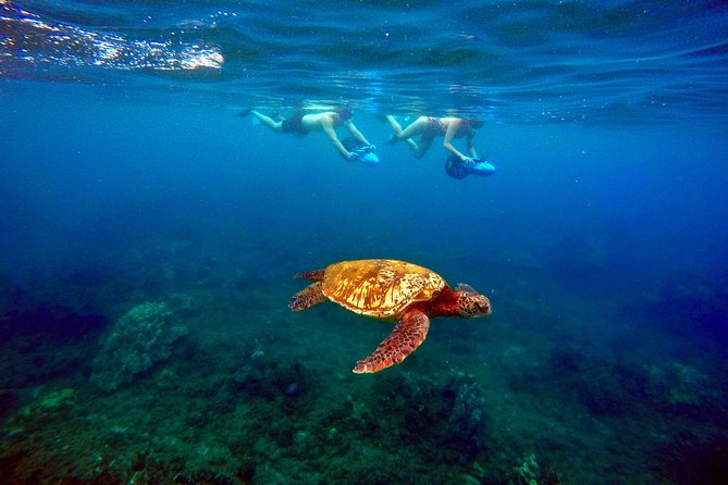 Sea Scooter Snorkeling Tour with GoPro - Wailea Beach - The Sea Scooter Setup, Why It Feels Less Exhausting
