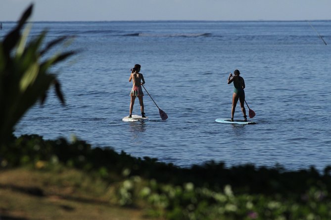 Semi-Private Surf Lesson - 3 Students 1 Instructor - Land practice first, then pop up on real waves