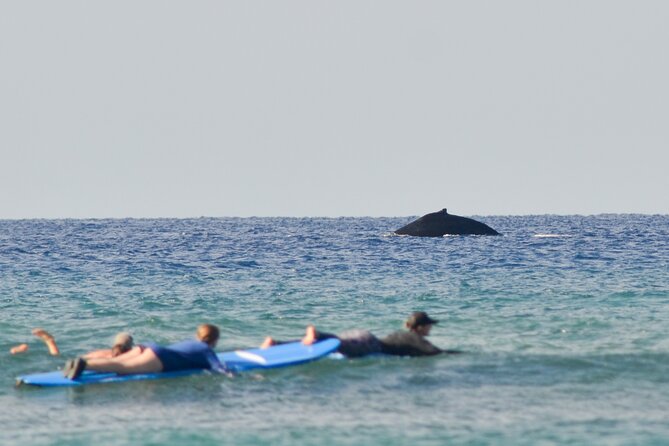 Semi Private Surf Lessons with Experienced Coaches - Ukumehame Beach Park, Maui: a practical choice for first-time surfers