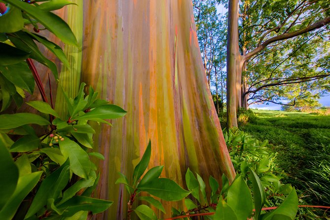 Shaka Guide Maui "Classic" Road to Hana Audio Driving Tour - Your route timing: plan for 10 to 12 hours of Road to Hana reality