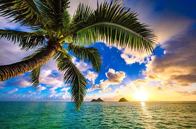 Shared Departure Transfer: Hotel to Maui Kahului Airport - Luggage rules that can save you money