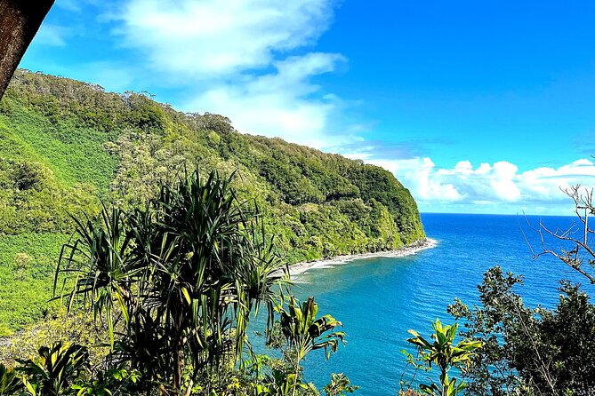 Shore Excursion of Maui - Getting on the tour: Kahului pickup and the quick way to find your van