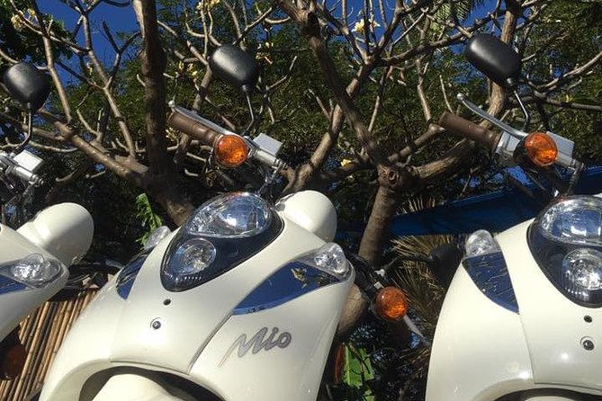 Single Passenger Moped/Scooter - 18+ NO Motorcycle License Needed - Who Should Book This Moped Rental, and Who Should Pause?