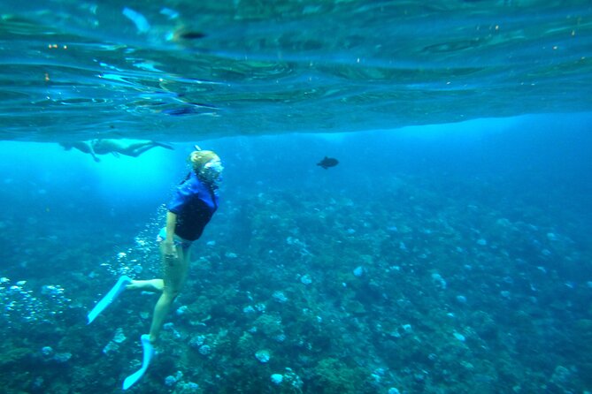 Small Group Coral Gardens Snorkel & Waterslide Adventure - Turtle Town and Molokini Crater: what changes when weather moves in