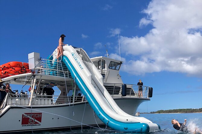 Small Group Coral Gardens Snorkel & Waterslide Adventure - Whale spotting while you travel: Jan to Mar is your sweet window