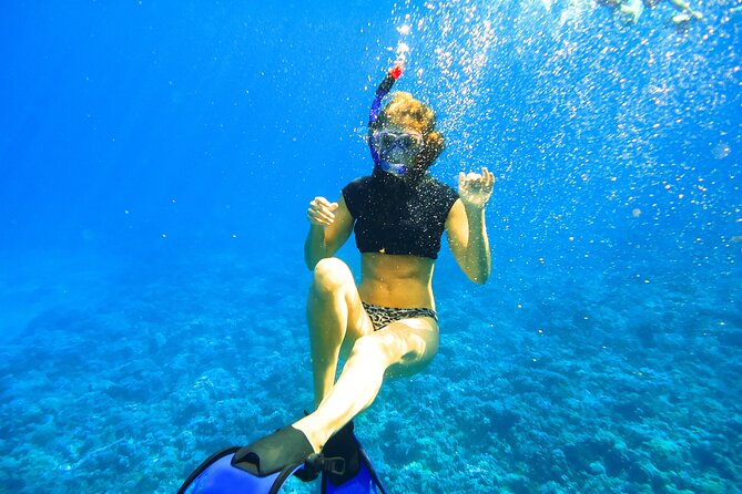 Small Group Coral Gardens Snorkel & Waterslide Adventure - Price and value: where your money actually goes