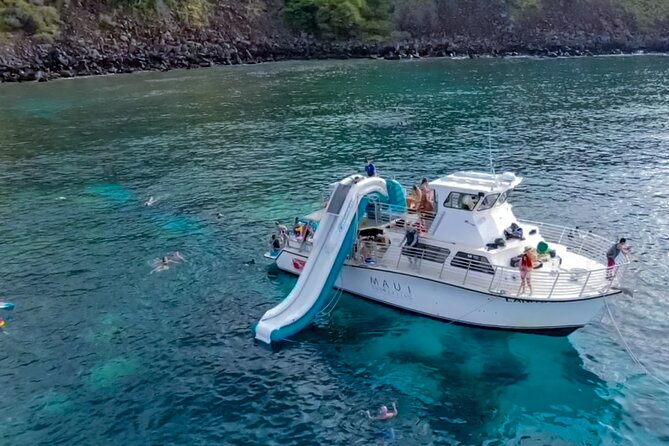 Small Group Coral Gardens Snorkel & Waterslide Adventure - Coral Gardens: where you actually spot turtles (and why that matters)