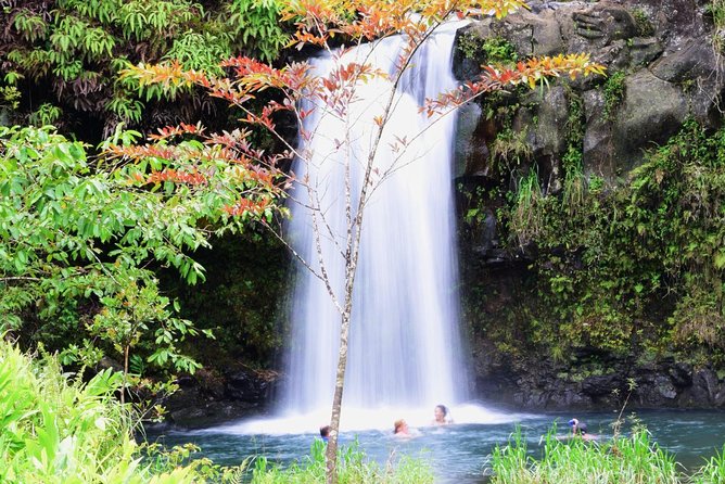 Small-Group Luxury Tour: Road to Hana and Ka'eleku Cavern Day Trip - Hana’s scenic hits: taro fields, waterfalls, bamboo, and Hana Tropicals
