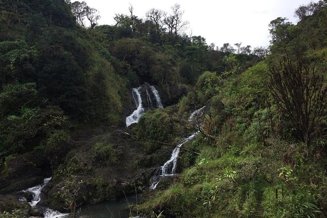 Small-Group Road to Hana Adventure Tour with Pickup & Lunch - Key highlights worth planning around