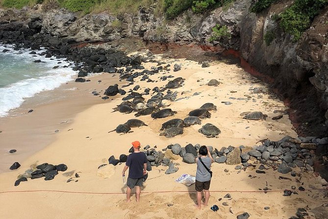 Small-Group Road to Hana Adventure Tour with Pickup & Lunch - How this small-group setup changes your Road to Hana day