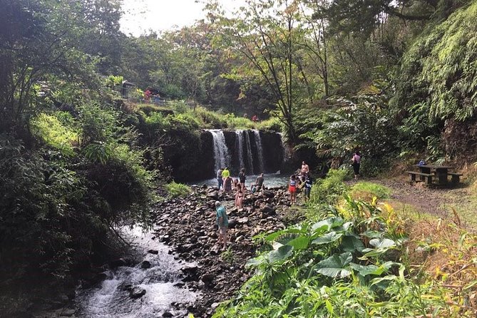 Small-Group Road to Hana Adventure Tour with Pickup & Lunch - The Hana Highway drive: 640 turns, 59 bridges, and what to expect