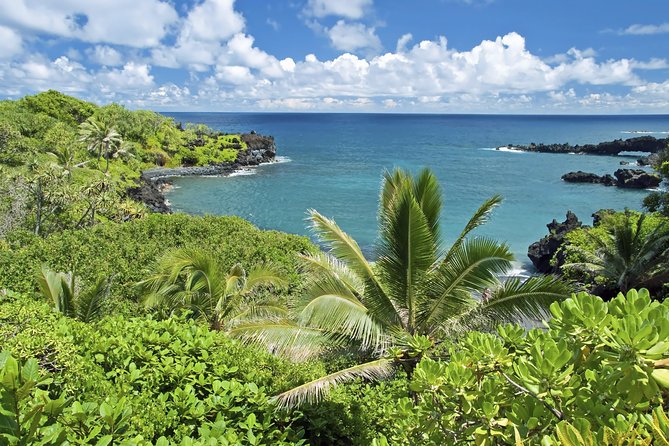 Small-Group Road to Hana Adventure Tour with Pickup & Lunch - Ke’anae Point: taro fields, fisherman energy, and no-swim coastline