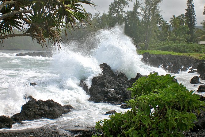 Small-Group Road to Hana Luxury Tour - Wai’anapanapa State Park: Black Sand Beach Meets Lava-Volcanic Detail