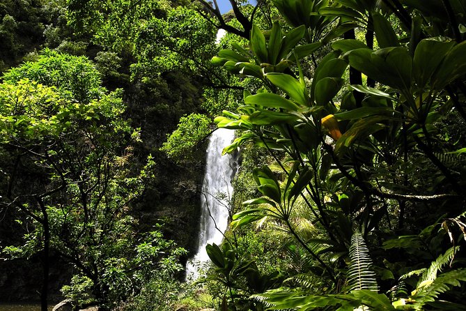 Small-Group Road to Hana Luxury Tour - Pua‘a Ka‘a State Park: Freshwater Waterfall Pool Swim Time