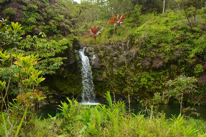 Small-Group Road to Hana Luxury Tour - Comfort and Safety on 617 Curves and 54 One-Lane Bridges