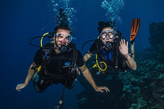 Small-Group Shark and Turtle Dive for Certified Divers - Where Mala Wharf fits into a Maui SCUBA day