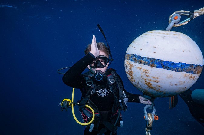 Small-Group Shark and Turtle Dive for Certified Divers - What a typical 2.5 hour plan looks like