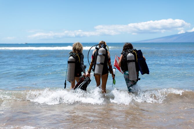 Small-Group Shark and Turtle Dive for Certified Divers - Meeting point and start time, so you can show up calm