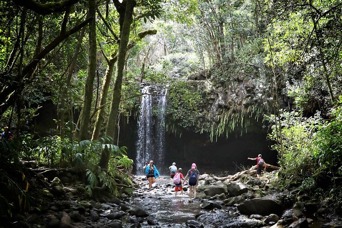Small Group Waterfall and Rainforest Hiking Adventure on Maui - The Rainforest Hike: Wet Roots, Basalt Bits, and Real Maui Terrain