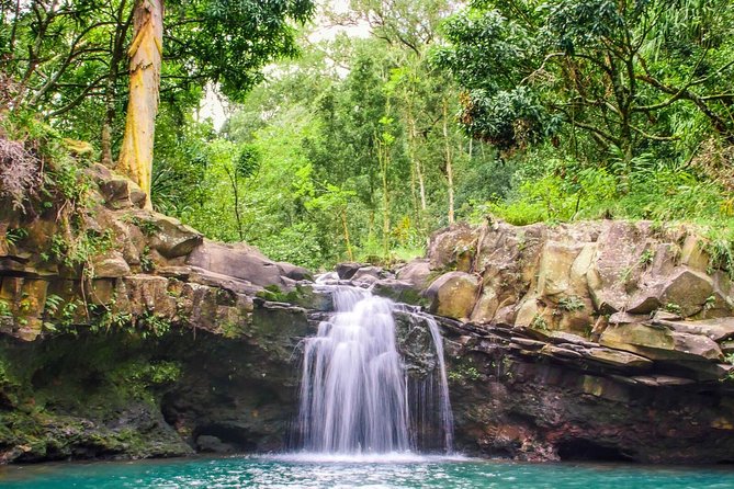 Small Group Waterfall and Rainforest Hiking Adventure on Maui - Small Group Size, Guide Style, and Safety on Trickier Spots
