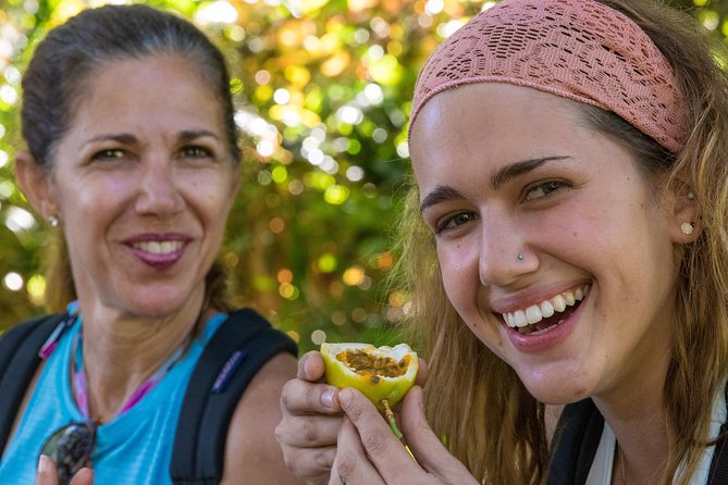Small Group Waterfall and Rainforest Hiking Adventure on Maui - Who Should Book This East Maui Adventure (and Who Might Skip)
