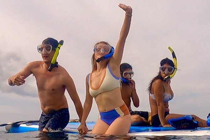 Snorkeling for Non-Swimmers with Photos Guided Tour Wailea Beach - Sea turtles and fish at Wailea, what you can realistically plan to see