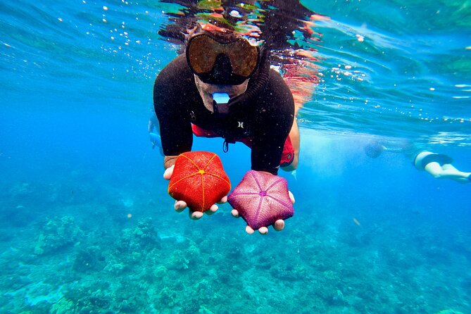 Snorkeling for Non-Swimmers with Photos Guided Tour Wailea Beach - Guides that stay close, plus quick photo sharing after your snorkel