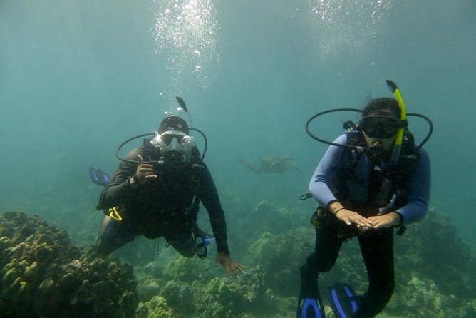 South Maui Discover Scuba Dive - Safety briefing plus shallow-water skills, the part that makes or breaks first-timers