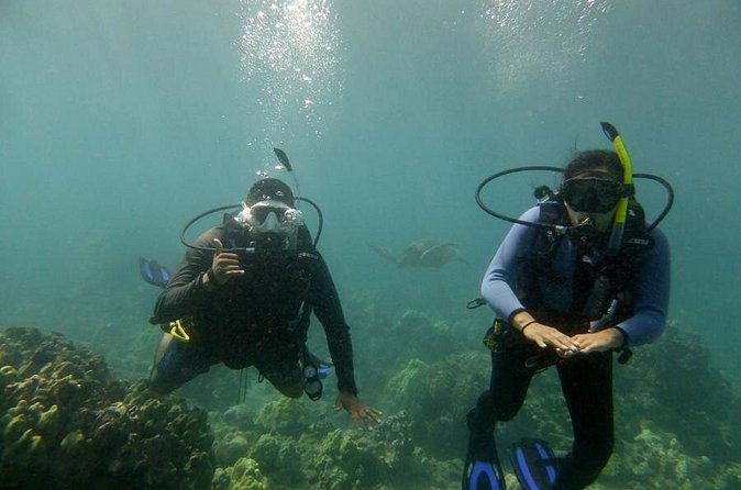 South Maui Discover Scuba Dive - Who should book this intro scuba session (and who may want another plan)