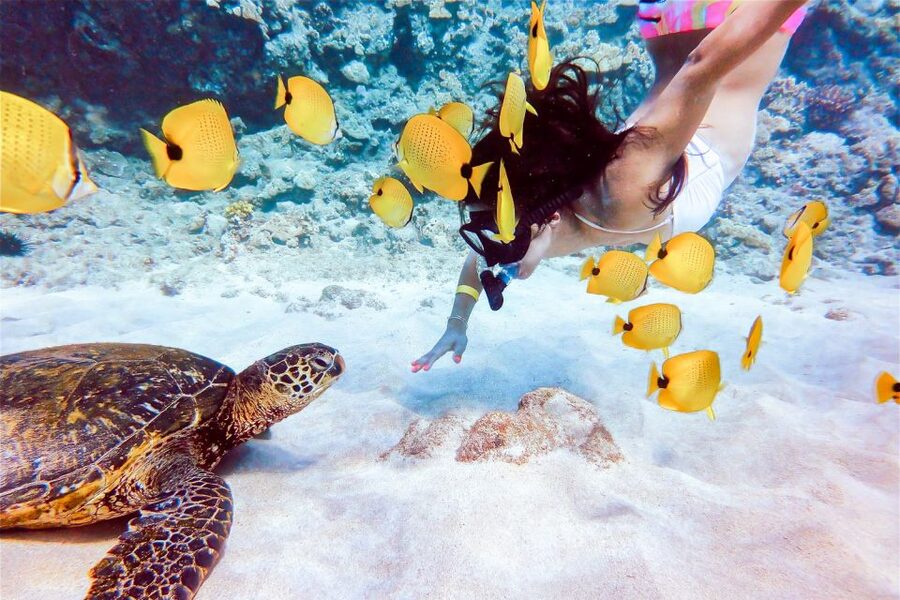 South Maui: Molokini Snorkeling Adventure - Food and Drinks on Calypso: More Than Just a Snack Stop