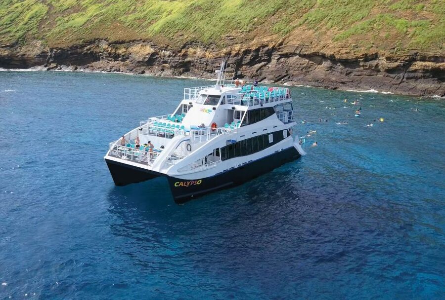 South Maui: Molokini Snorkeling Adventure - My Booking Decision Guide: Should You Go?