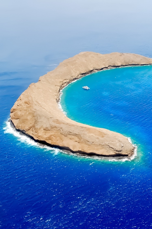 South Maui: Molokini & Turtle Adventure from Maalaea Harbor - Key things to know before you go