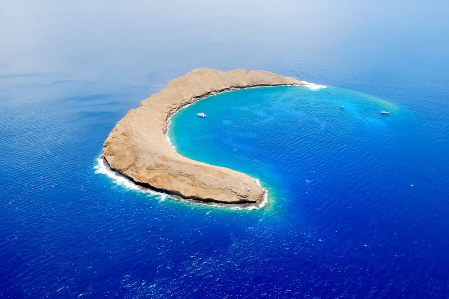 South Maui: Molokini & Turtle Adventure from Maalaea Harbor - Molokini crater snorkeling: why it is often the star stop