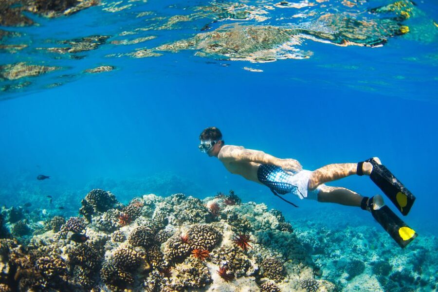 South Maui: Premium Turtle Town Kayak and Snorkel Tour - Turtle Town Snorkeling in Makena Bay, not just a quick stop