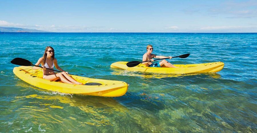 South Maui: Premium Turtle Town Kayak and Snorkel Tour - What you will learn in the water: reef fish and turtle spotting
