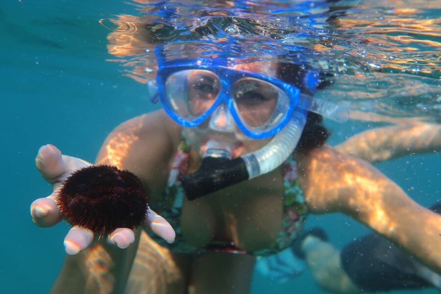 South Maui: Premium Turtle Town Kayak and Snorkel Tour - Who should book, and who should skip