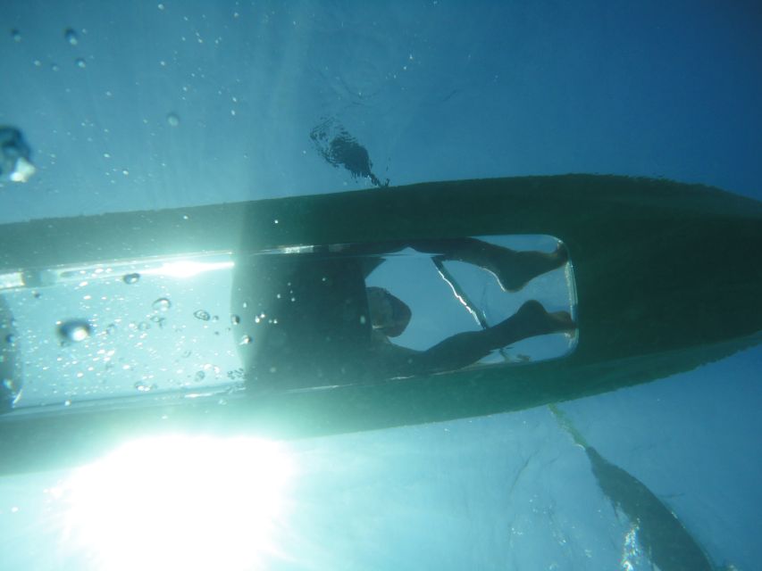 South Maui: Self Guided Clear Bottom Kayak Tour - Key things you’ll notice on Turtle Town