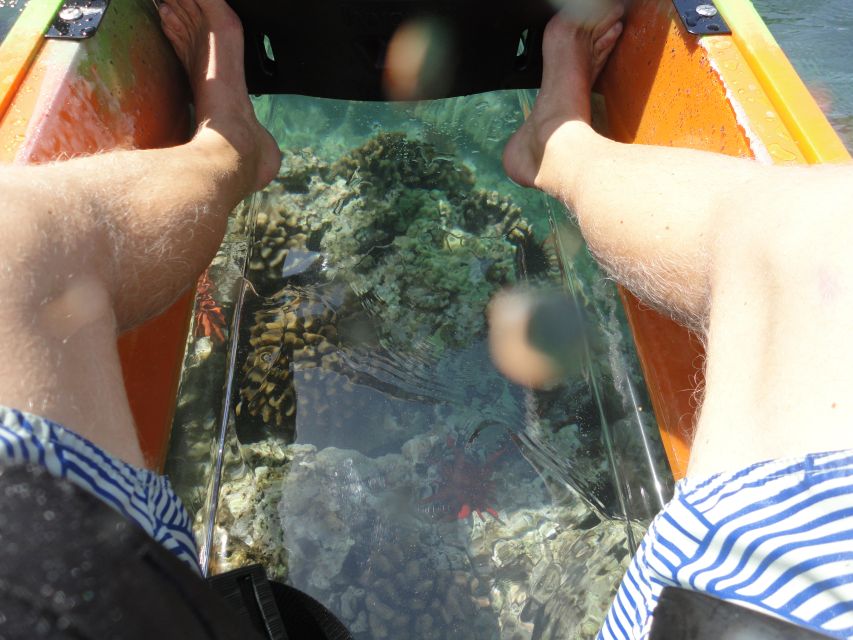 South Maui: Self Guided Clear Bottom Kayak Tour - Launching at Makena: the first few minutes that set your whole mood