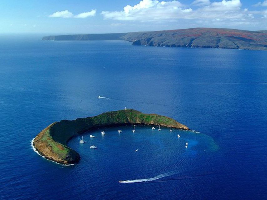 South Maui: Snorkel to Coral Gardens or Molokini Crater - Snorkeling time at the reef: gear, timing, and what to look for