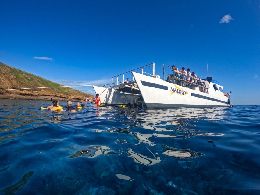 South Maui: Snorkel to Coral Gardens or Molokini Crater - Should you book this South Maui snorkel cruise?
