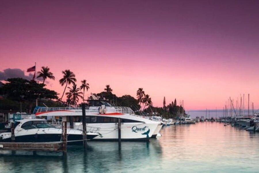 South Maui: Sunset Cruise with 4-Course Dinner and Drinks - The Maalaea stretch, shoreline views, and wildlife chances