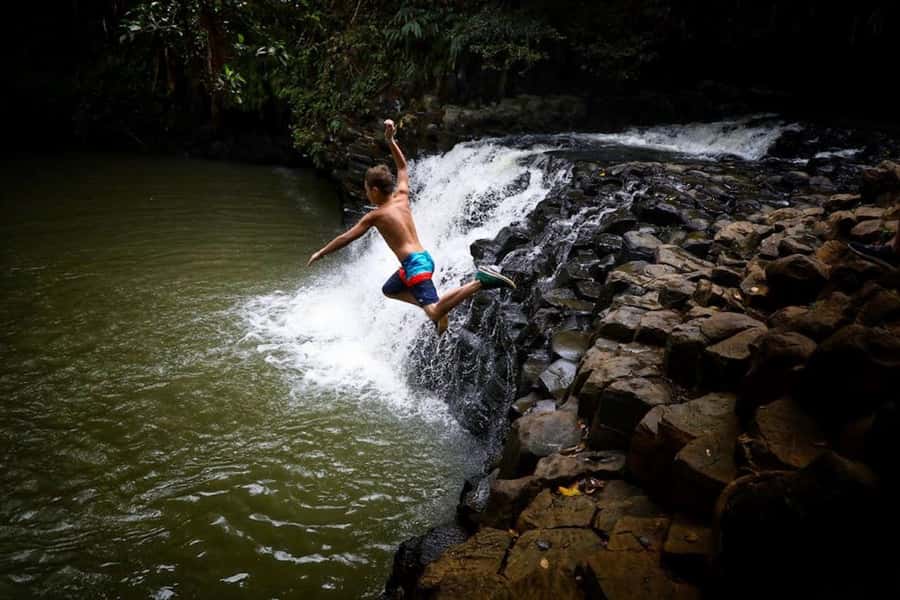 South Maui: Waterfall Tour w/ Kayak, Snorkel, and Hike - Rainforest hike with Hike Maui guides: turning scenery into stories
