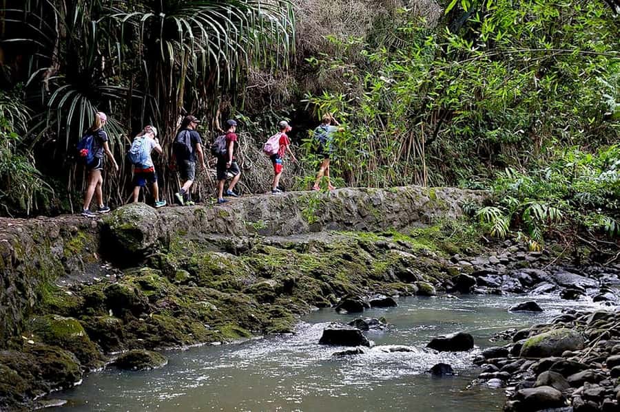 South Maui: Waterfall Tour w/ Kayak, Snorkel, and Hike - What to bring: small items that prevent big annoyances