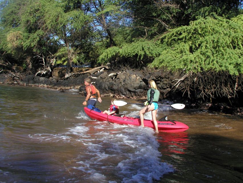 South Maui: Whale Watch Kayaking and Snorkel Tour in Kihei - Key things I think you will love most