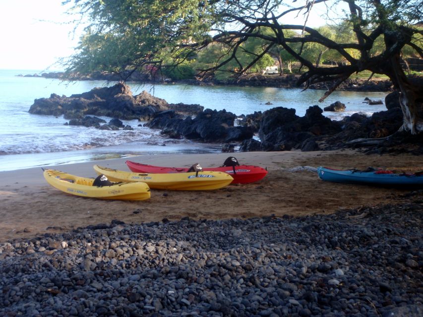 South Maui: Whale Watch Kayaking and Snorkel Tour in Kihei - Who should book this South Maui whale watch kayak and snorkel