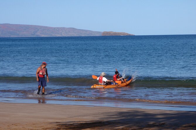 South Shore Turtle Kayak and Snorkel Experience - Paddling Pace, Weather, and Your Best Shot at Wildlife