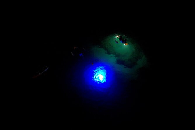 Sunset/Glow Clear Kayak Tour in Olowalu - Day-to-Night Reef Changes: Why the Lights Matter