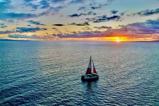 Sunset Sailing on a Floating Tiki Bar Charming Hawaiian Catamaran - Wildlife spotting that is actually worth your attention