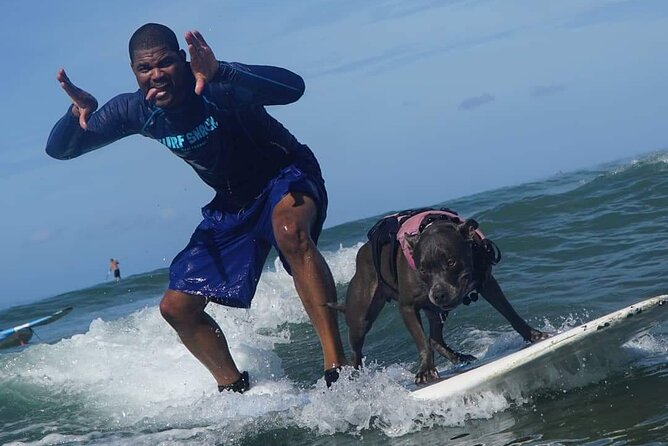 Surf with a Service Animal - Equipment, Rash Guard, and What to Pack